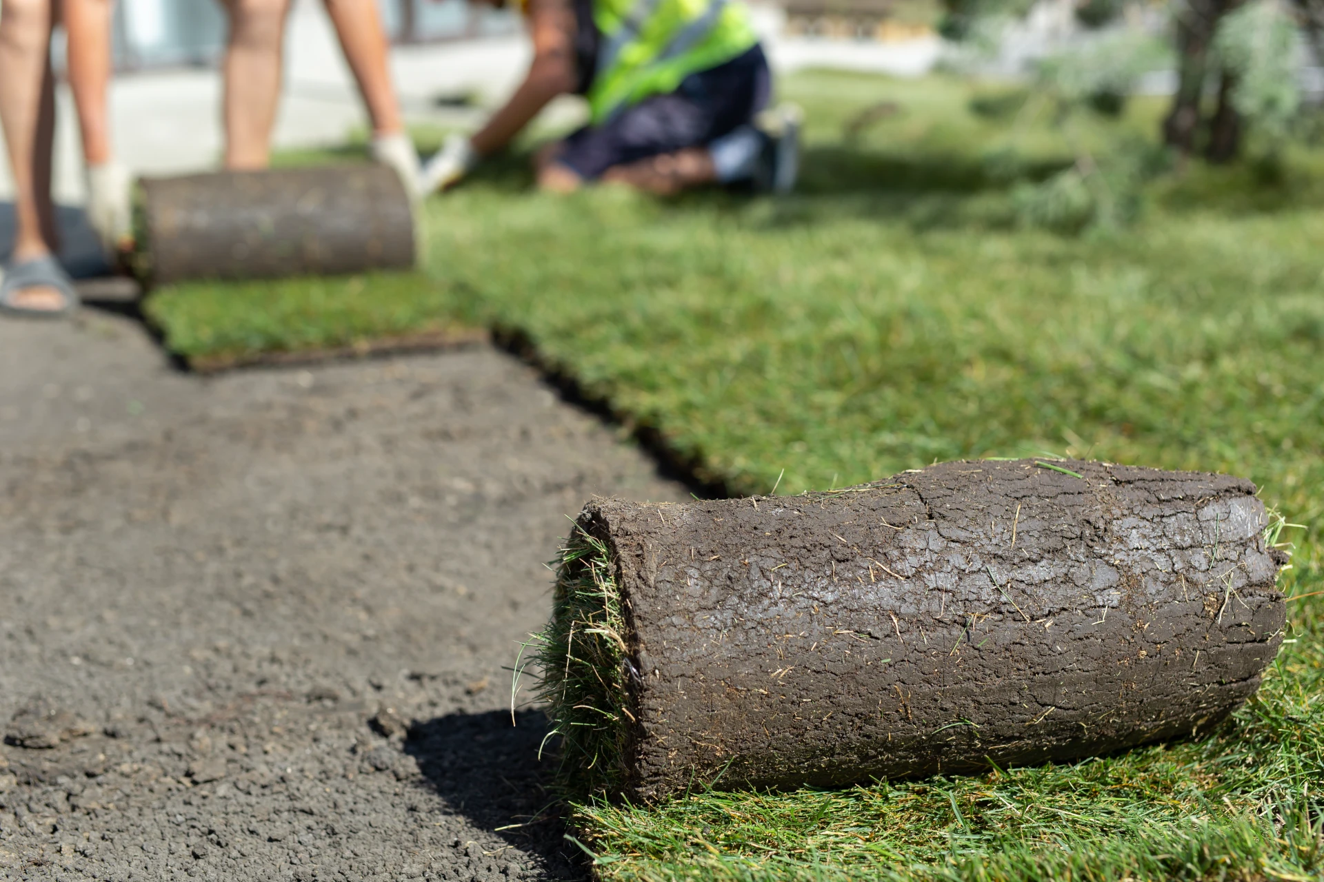 Układanie trawy z rolki na terenie miejskim – Kraków